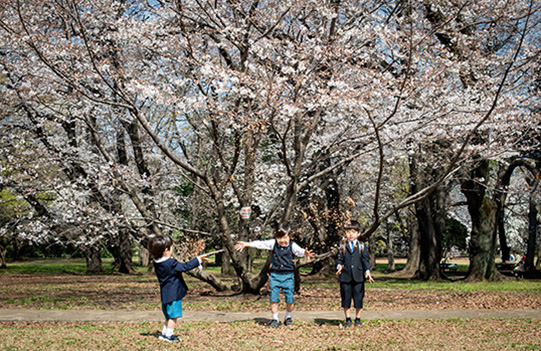 砧公園 東京都世田谷区